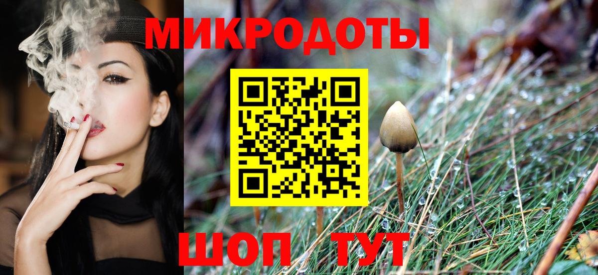 Дербент  Псилоцибиновые грибы Psilocybe  Вход с VPN 