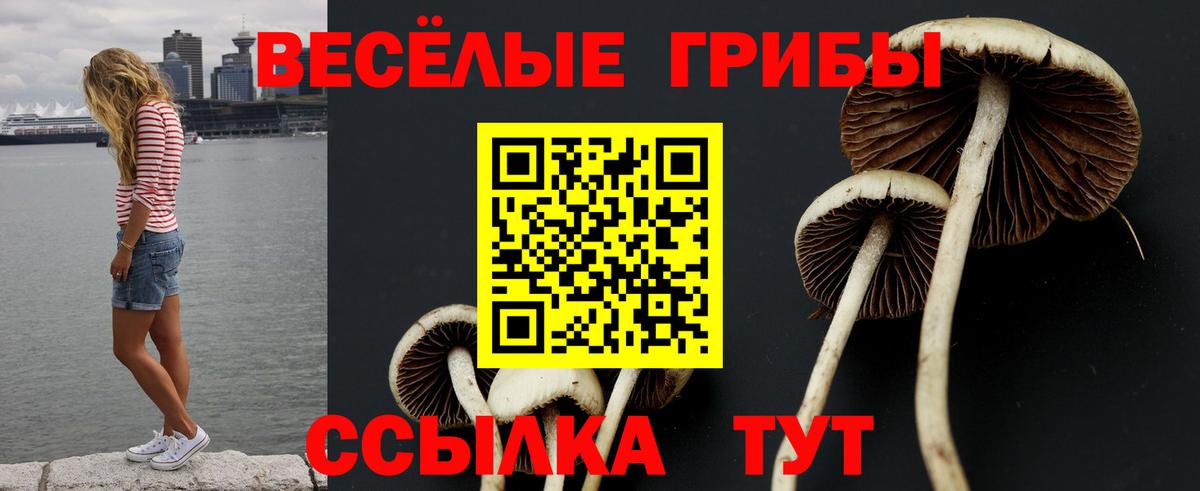Псилоцибиновые грибы мухоморы Дербент